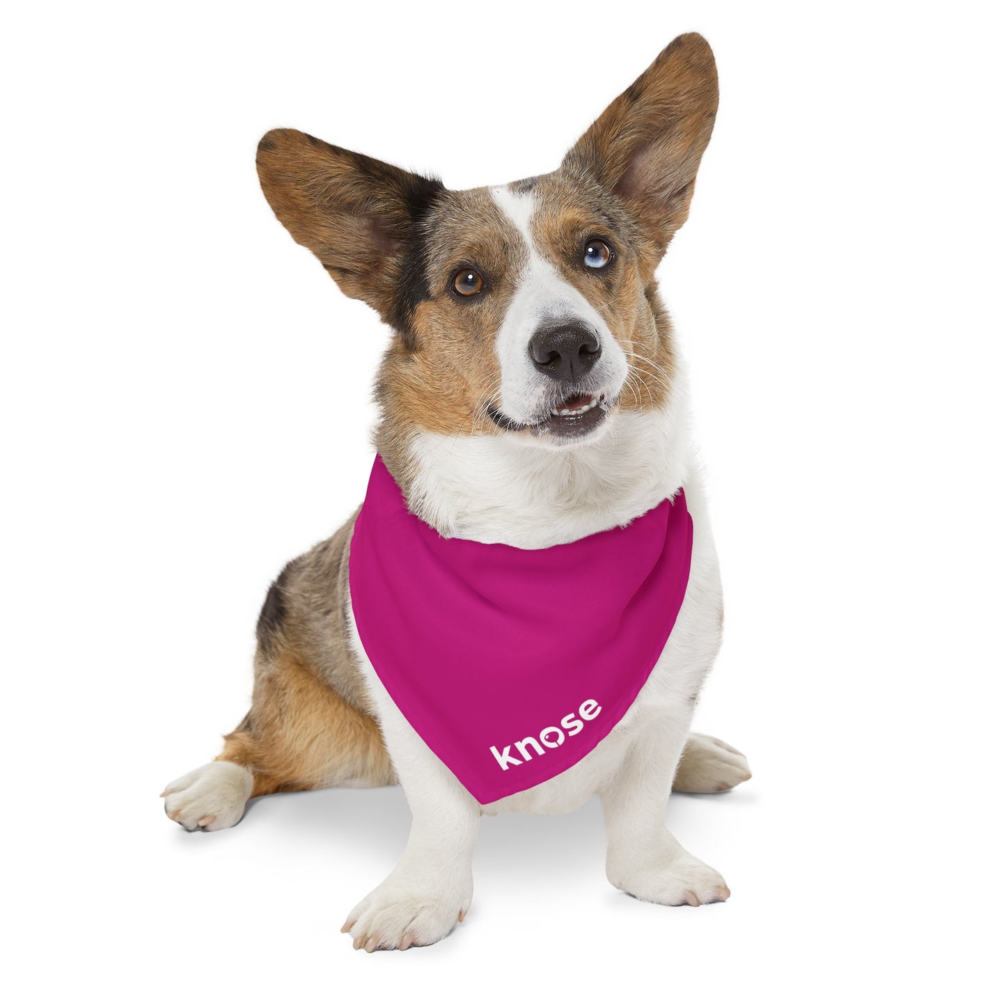 Pet Bandana Collar